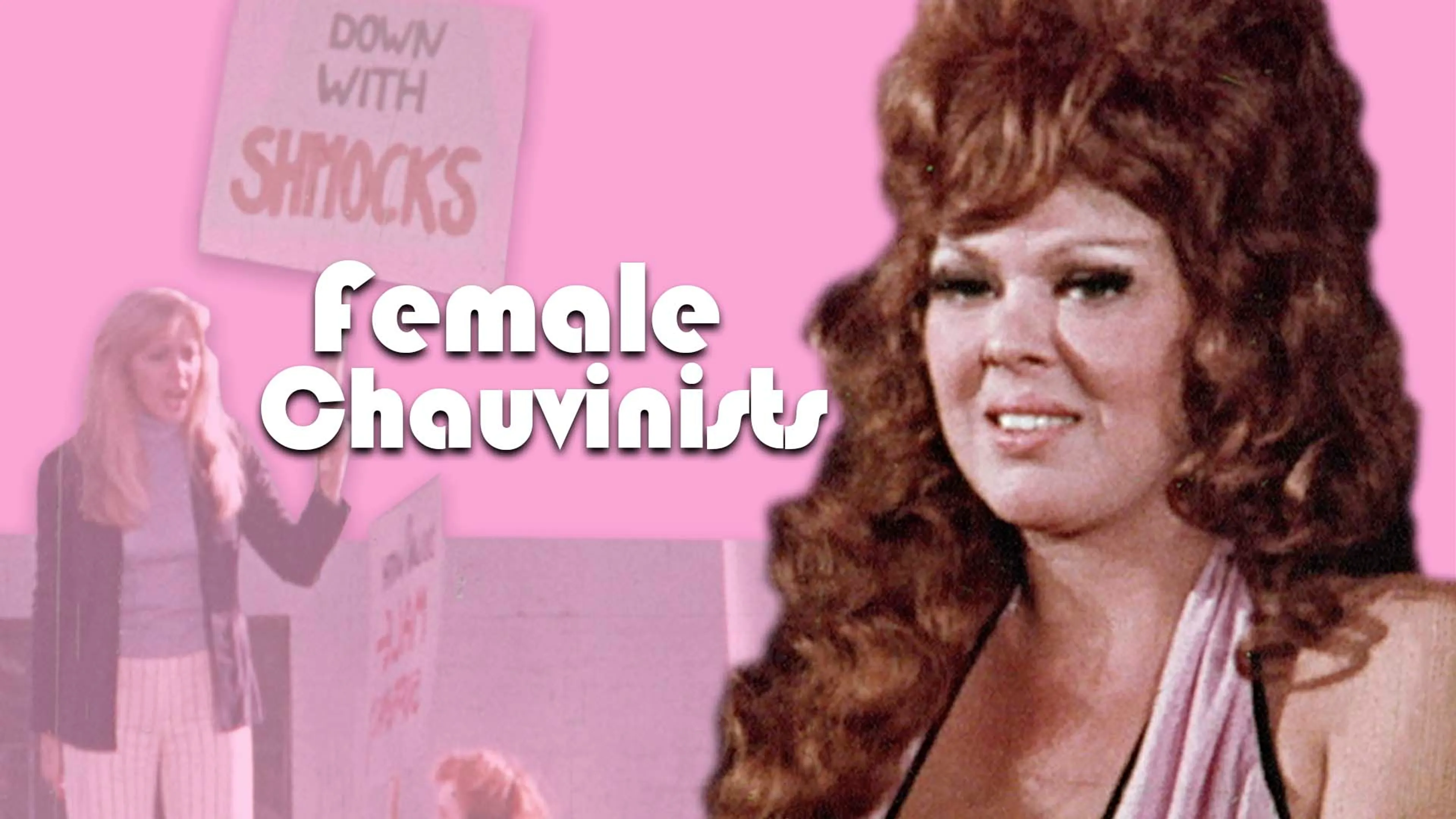 Female Chauvinists poster